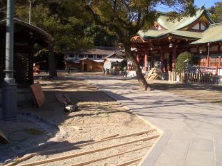 ����������