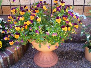 ����������