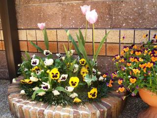 ����������