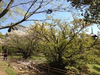 ����������