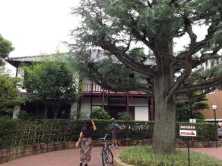 ����������