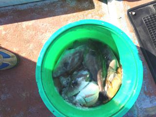 ����������