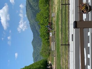 ����������